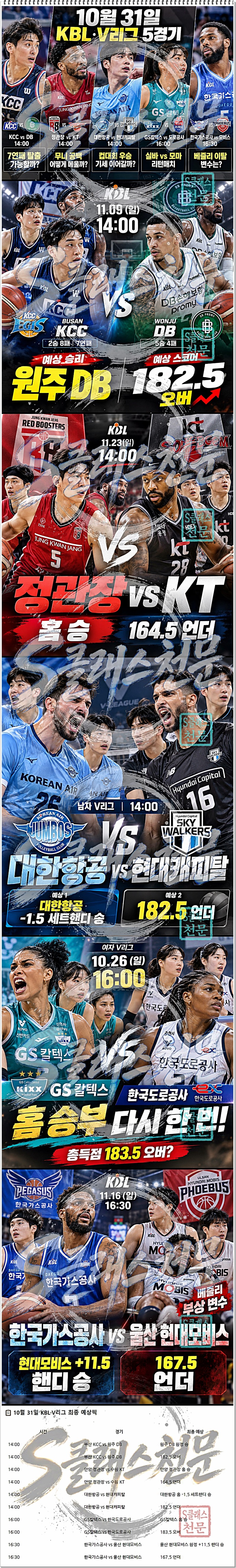 개농배구.jpg