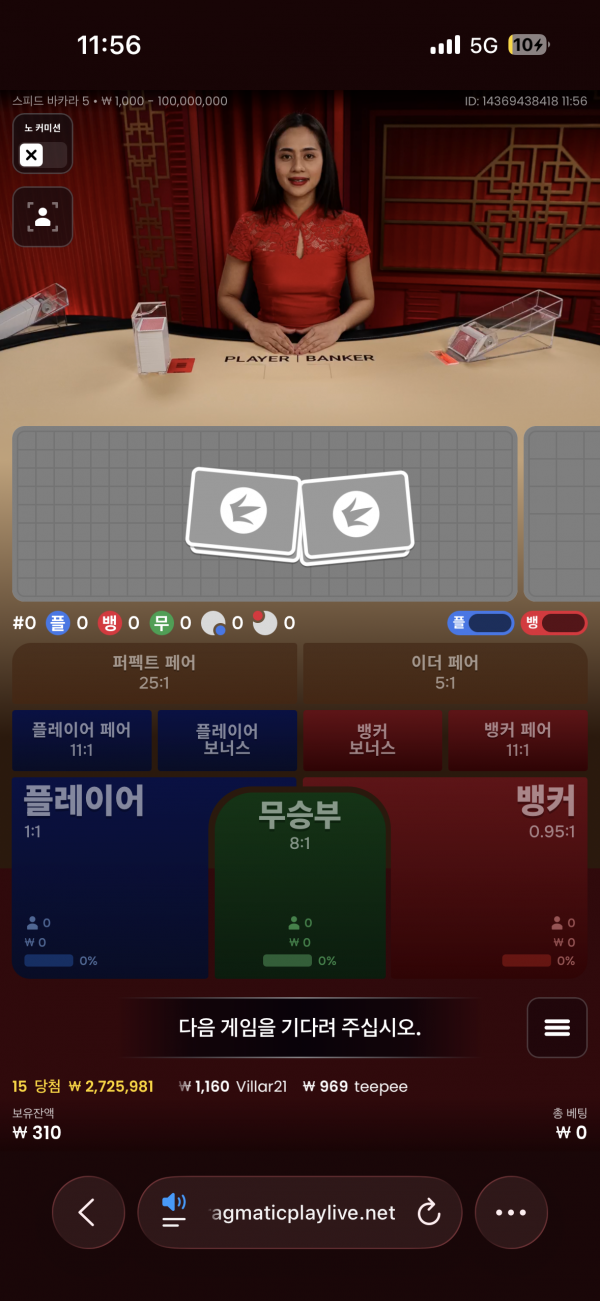 고카지노 후기