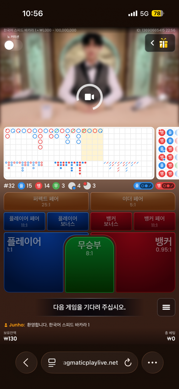 고카지노 후기