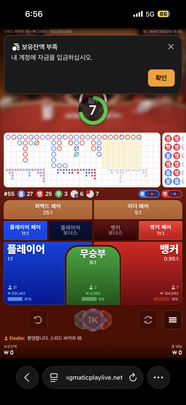 고카지노 후기