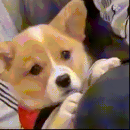 강회장?